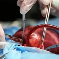 Inicio - Bioservica S.A.S.